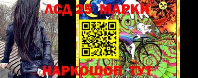 Альфа ПВП Кингисепп