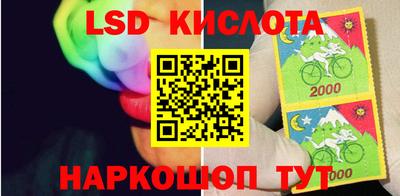 Альфа ПВП Кингисепп