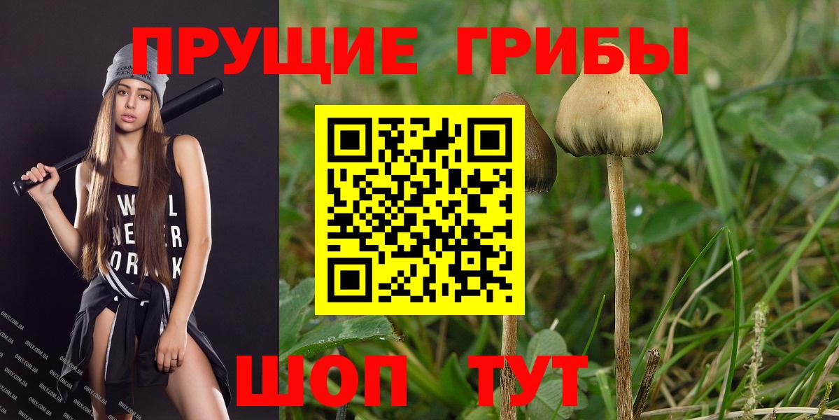 Псилоцибиновые грибы мухоморы Ленинск-Кузнецкий